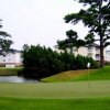 Myrtlewood- Pine Hills